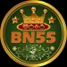 BN55 game